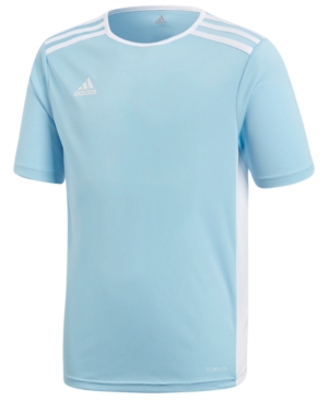 Adidas Big Boys Entrada Jersey