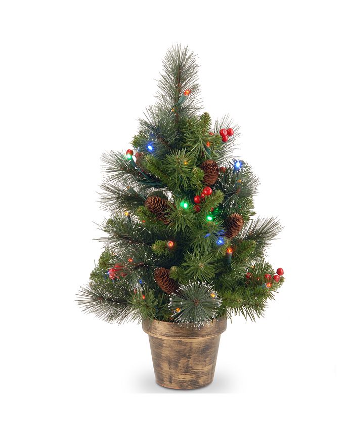 National Tree Company - 2' Crestwood Spruce Small Tree with Silver Bristle, Cones, Red Berries and Glitter in a Plastic Bronze Pot with 35 Battery Operated Multi LED Lights