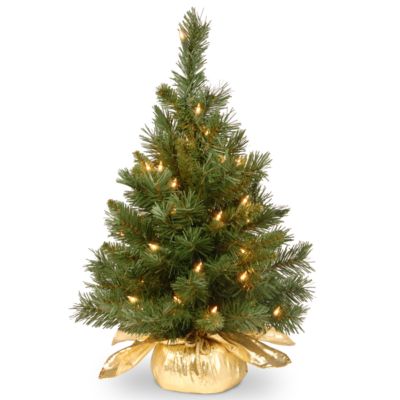 National Tree Company - 24" Majestic Fir Tree in Gold Cloth Bag with 35 Clear lights