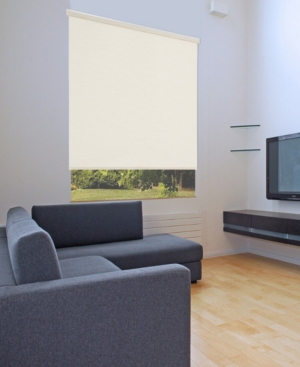 Cordless Linen Look Light Filtering Fabric Roller Shade 39