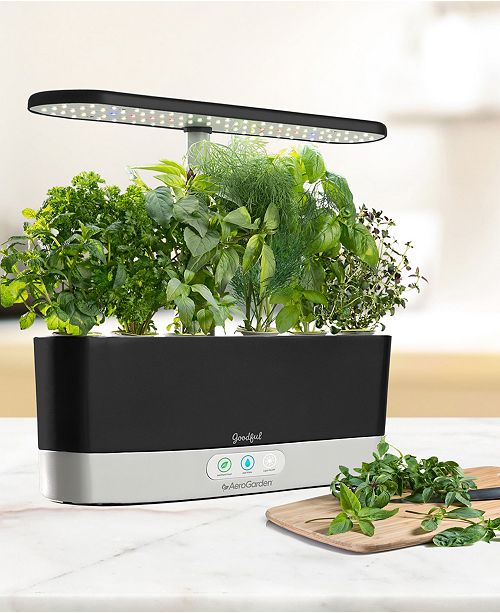 By Aerogarden Harvest Slim Countertop Garden Gourmet Herbs