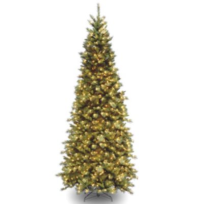 National Tree Company - National Tree 10' Tiffany Fir Slim Tree with 800 Clear Lights