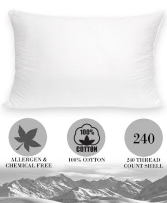 100% Cotton Luxury Down Alternative 2-Pack Pillows, Standard