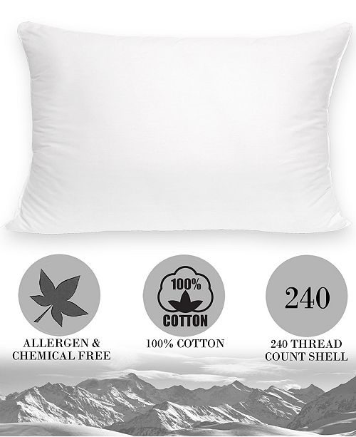 Swiss Comforts 100 Cotton Luxury Down Alternative 2 Pack of Standard