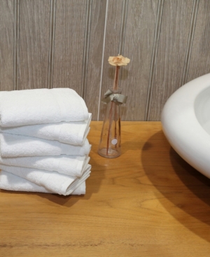 Linum Home Denzi 6-pc. Washcloth Set Bedding In White