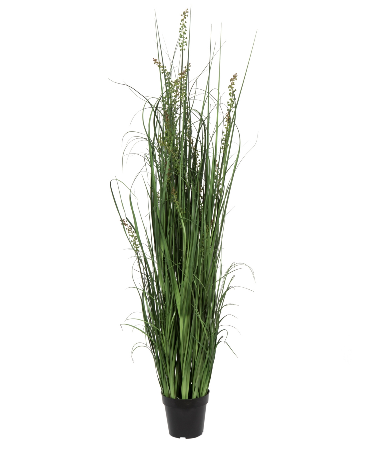 Vickerman 60" Pvc Artificial Potted Green Sheep's Grass And Plastic Grass In No Color