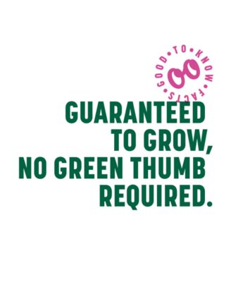 AeroGarden Goodful™ by Harvest Slim Countertop Garden & Gourmet Herbs Seed Kit