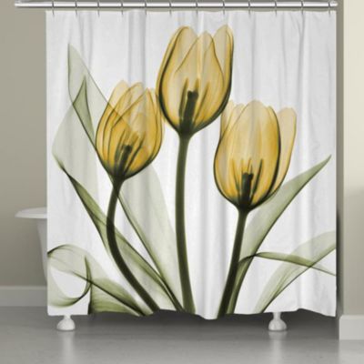 Golden Tulips Shower Curtain, 71" x 72"