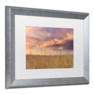 Trademark Global Michael Blanchette Photography 'beachgrass Sunrise' Matted Framed Art, 16" X 20" In Silver