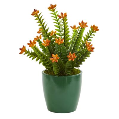 Sedum Succulent Artificial Plant in Green Planter, Set of 2