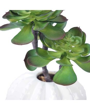 Vintage Home - 10" Tall Succulents Artificial Indoor/ Outdoor Faux D&eacute;cor in Matte Finished Ceramic Vase