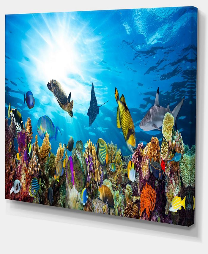 Design Art Designart Colorful Coral Reef With Fishes Seascape Canvas ...