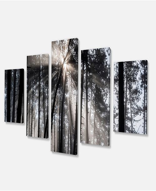 Design Art Designart Sunbeams Through Black White Forest Forest