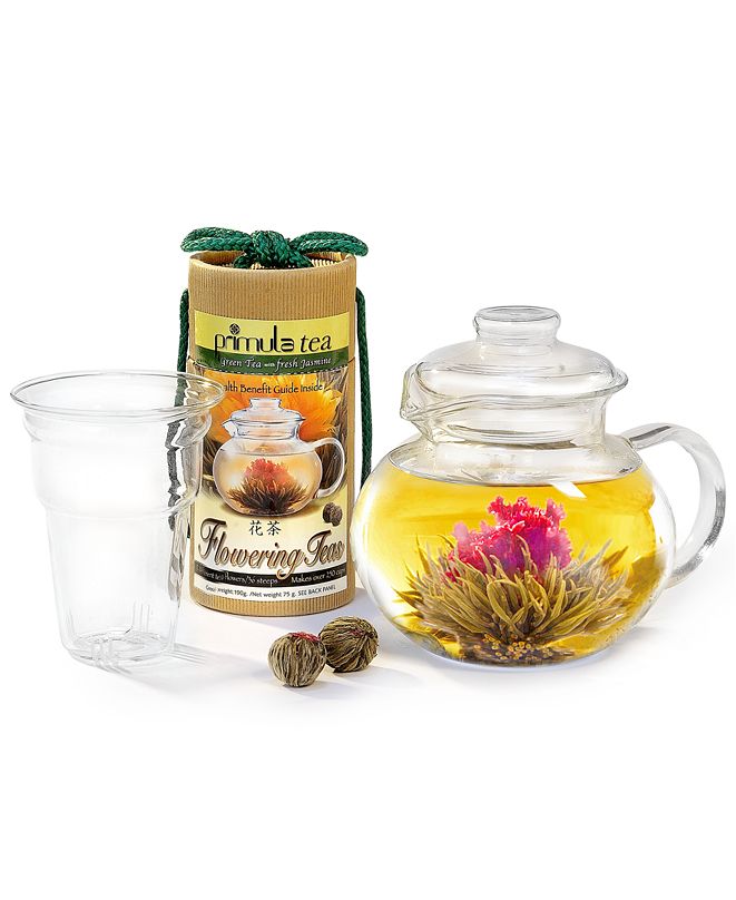 Primula Flowering Tea & Glass Teapot Gift Set & Reviews Cookware