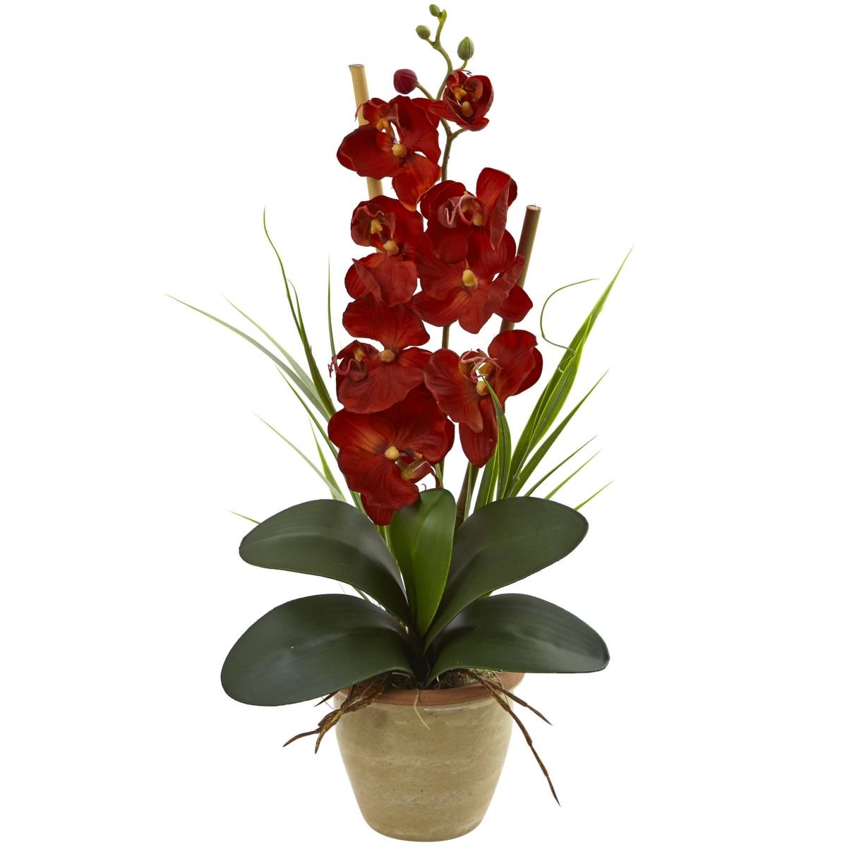 Phalaenopsis Orchid Harvest Silk Arrangement in Ceramic Arrangement - Autumn