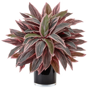 Nearly Natural Caladium Artificial Plant In Black Glossy Planter In Green