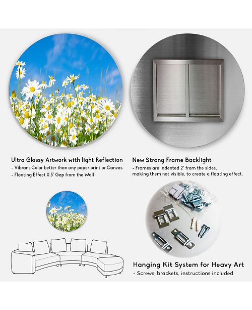 Design Art Designart White Daisies Under Bright Blue Sky Disc