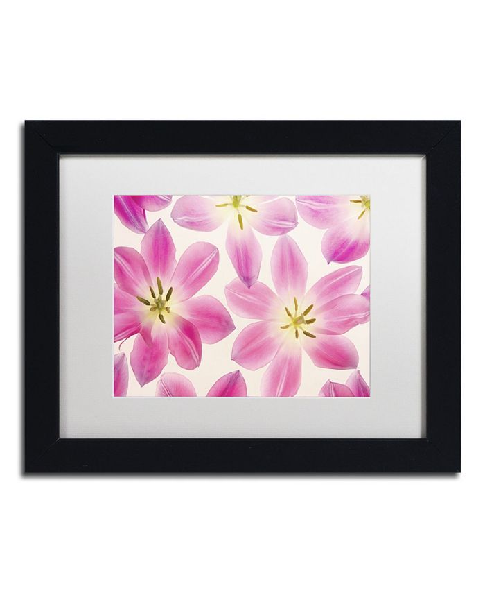 Trademark Global Cora Niele 'Cerise Pink Tulips' Matted Framed Art - 11 ...