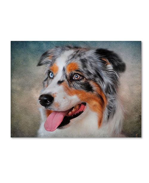 Trademark Global Jai Johnson Blue Merle Australian Shepherd