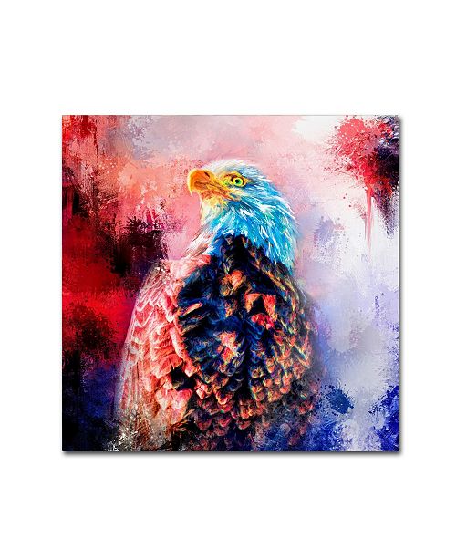 Trademark Global Jai Johnson Jazzy Bald Eagle Canvas Art 24 X