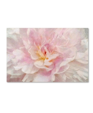 Trademark Global Cora Niele 'pink Peony' Canvas Art In Multi