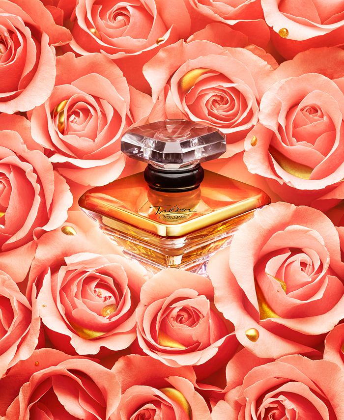Macys clearance tresor perfume