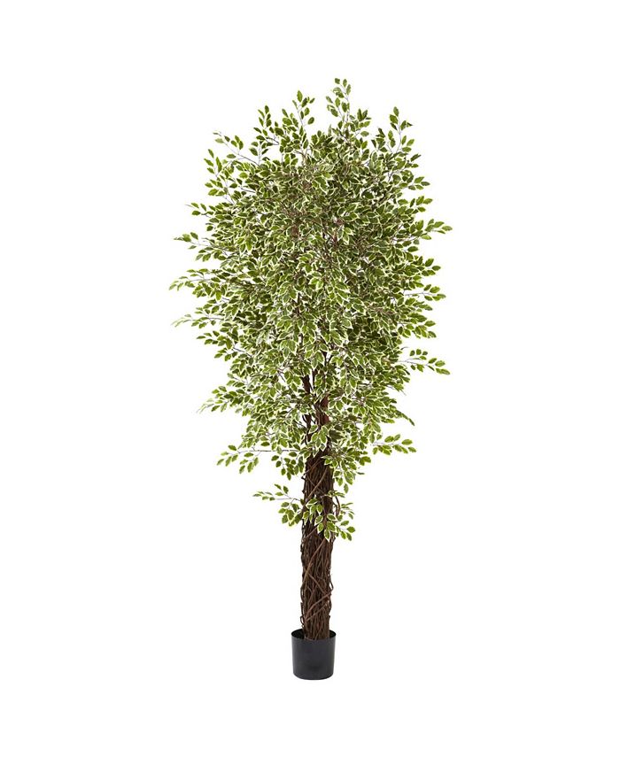 Nearly Natural - 7.5' Variegated Mini Ficus Tree