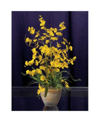 Dancing Lady Silk Orchid Arrangement