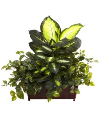 Nearly Natural - Golden Dieffenbachia, Philo and Pothos w/ Wood Planter