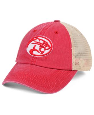 Top of the World - Raggs Alternate Mesh Cap