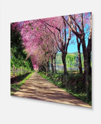Design Art Designart 'Cherry Blossom Pathway In Chiang Mai' Landscape Metal Wall Art - 20" X 12"