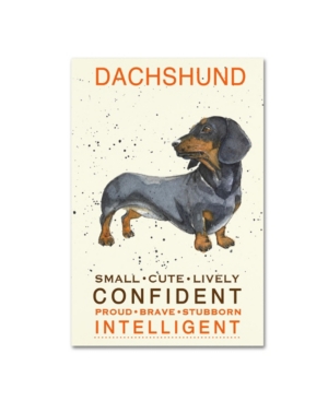 Trademark Global Michelle Campbell 'dachshund Print' Canvas Art In Multi