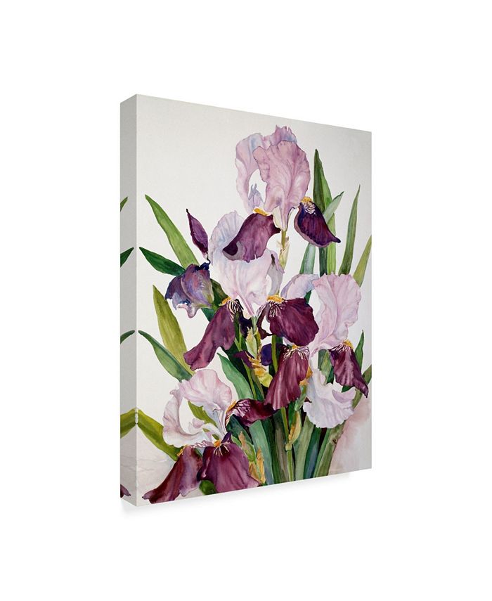 Trademark Global Joanne Porter 'Pink Maroon Iris' Canvas Art - 24