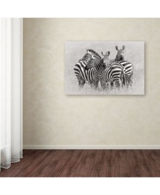 Trademark Global Kirill Trubitsyn 'Zebras' Canvas Art - 24" x 16" x 2"