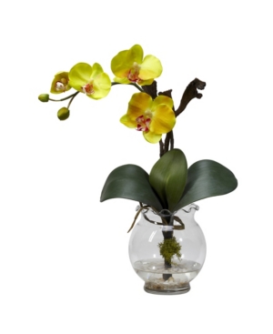 Nearly Natural Mini Phalaenopsis W/fluted Vase Silk Flower Arrangement In Yellow