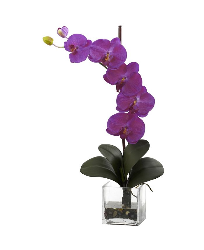 Nearly Natural - Giant Phalaenopsis Orchid w/Vase Arrangement