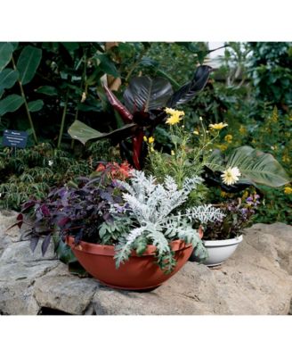 Bloem Terra 18" Bowl Planter