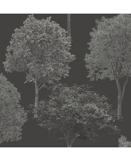 Brewster Home Fashions Tree Tops Photographic Wallpaper 396 X 20 5 X 0 025 Reviews All Wall Decor Home Decor Macy S