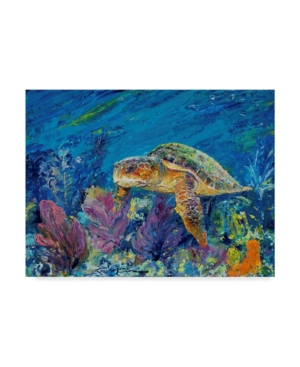 Trademark Global Lucy P. Mctier 'loggerhead Turtle' Canvas Art In Multi