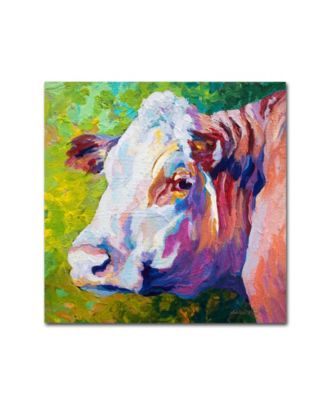 Trademark Global Marion Rose 'White Face Cow' Canvas Art - 35