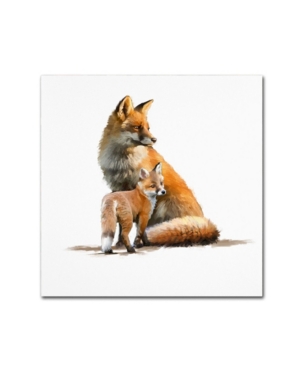Trademark Global The Macneil Studio 'fox' Canvas Art In Multi