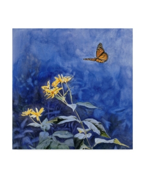 Trademark Global Rusty Frentner 'monarch Butterfly' Canvas Art In Multi