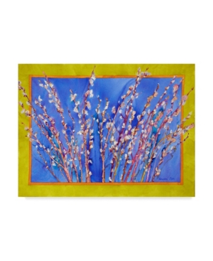 Trademark Global Sharon Pitts 'pussy Willows' Canvas Art In Multi