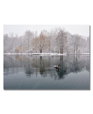 Trademark Global Kurt Shaffer 'winter Goose' Canvas Art In Multi