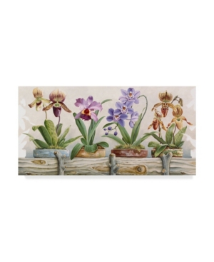 Trademark Global Lisa Audit 'flower Pots 5' Canvas Art In Multi