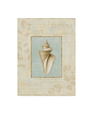 Trademark Global Lisa Audit 'soothing Words Shells Iii' Canvas Art In Multi