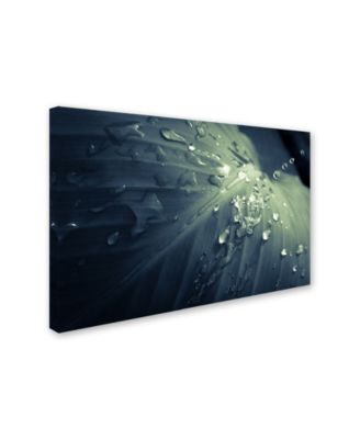 Trademark Global PIPA Fine Art 'Rain Dropping on Canna Leaf' Canvas Art - 22" x 32"