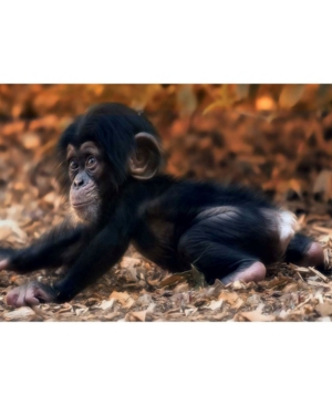 UPC 091683042173 product image for Springbok Puzzles Monkey Business 100 Piece Jigsaw Puzzle | upcitemdb.com