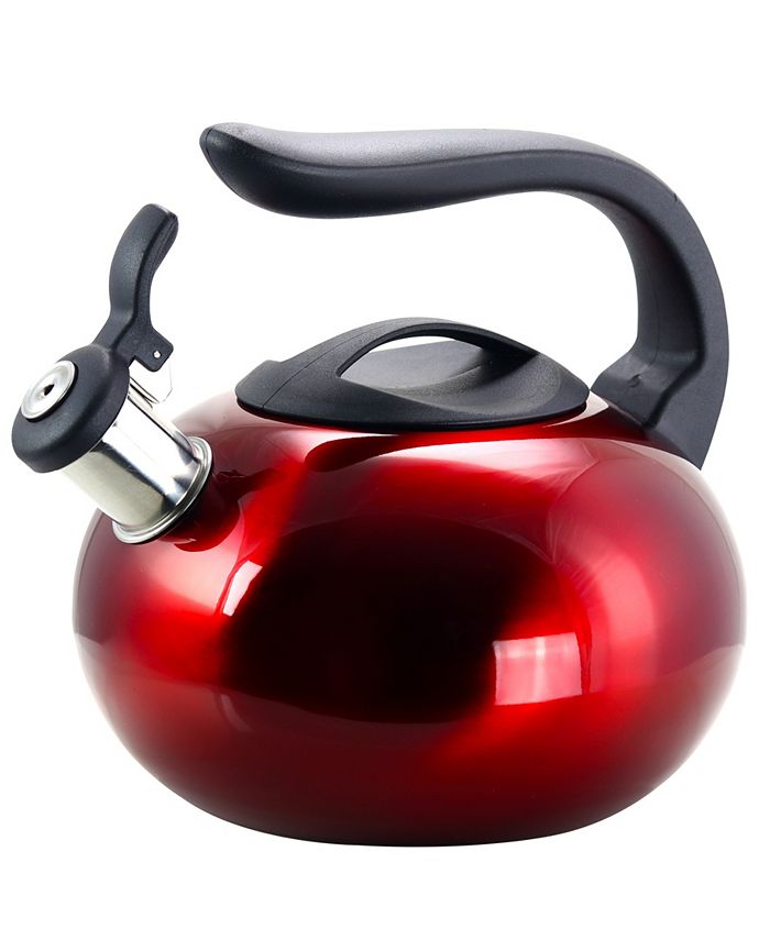 Megagoods Mr. Coffee Collinsbrook 2.4 Quart Stainless Steel Whistling