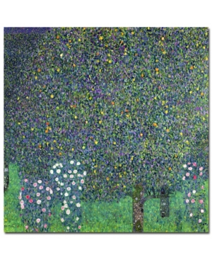 Trademark Global Gustav Klimt 'roses Under The Trees, 1905' Canvas Art In Multi